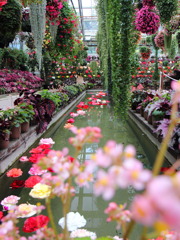 天国ってこんなのかなぁ(^^)