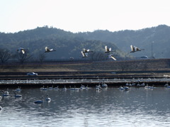 どこ行こっか？(^^)