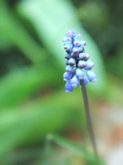 不思議なもの(^^)