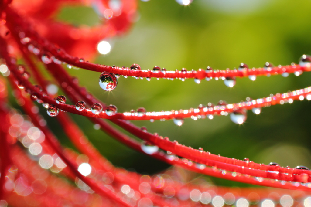 雨上がり(^^)