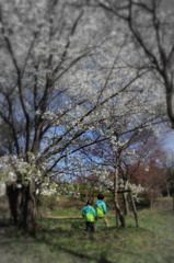 にーにゃ待って(^^)