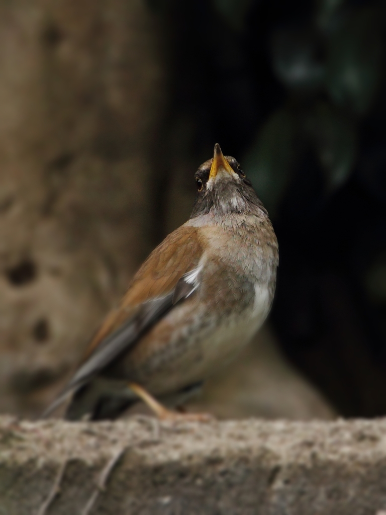 昼下がりのセクシー(^^)