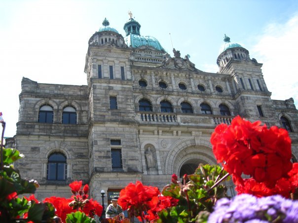 議事堂前の花壇の中から