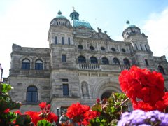 議事堂前の花壇の中から