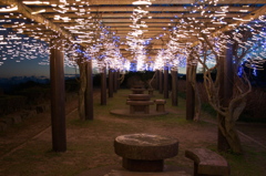 荒涼のイルミネーション