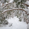 雪山
