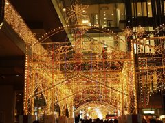 2010イルミネーションゲートinHoop