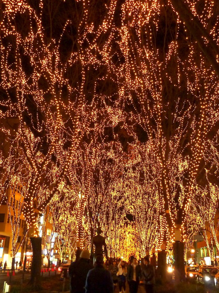 2010SENDAI光のページェントその２