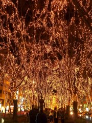 2010SENDAI光のページェントその２