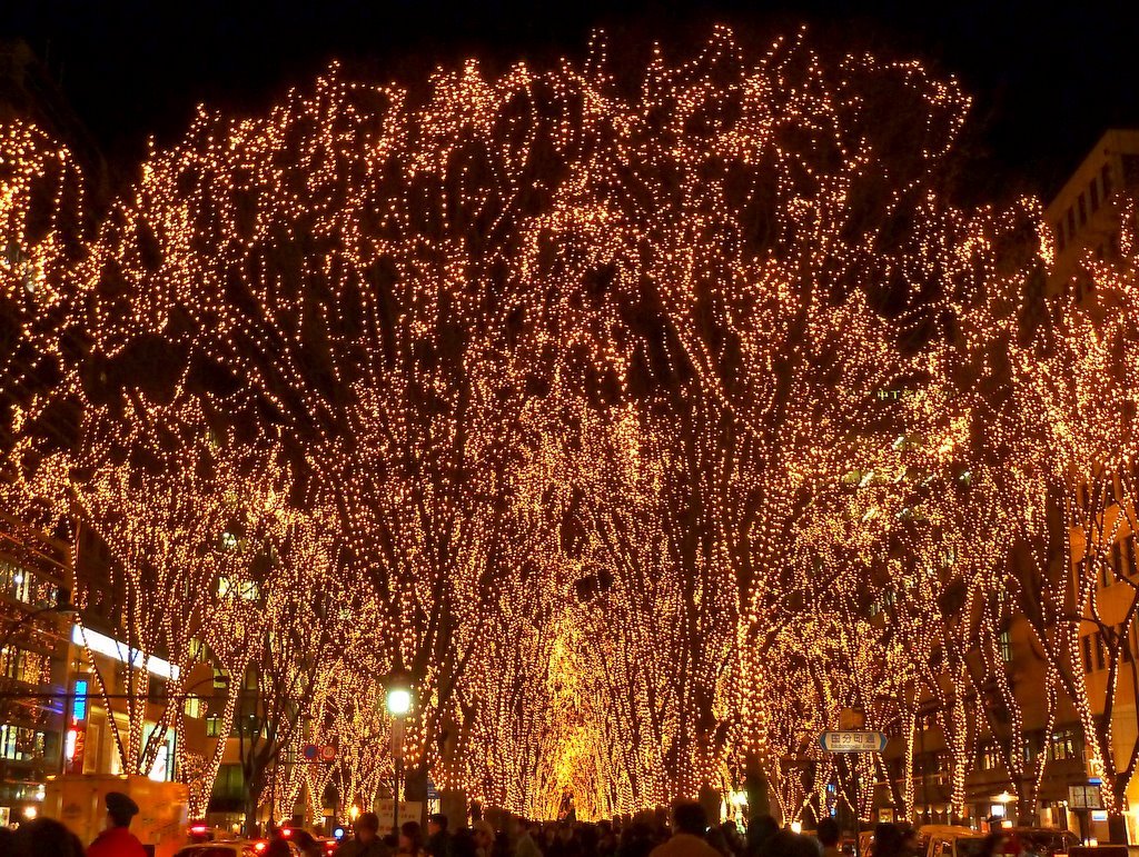 2010SENDAI光のページェント