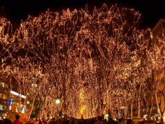 2010SENDAI光のページェント