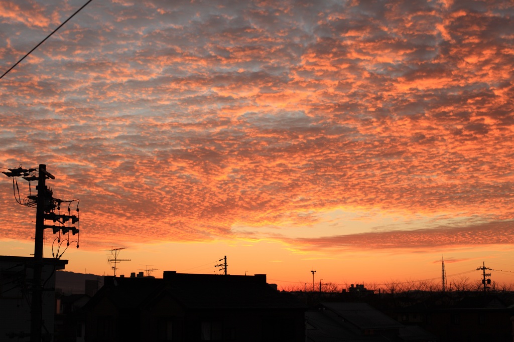 いいことありそう　～ある朝の空～