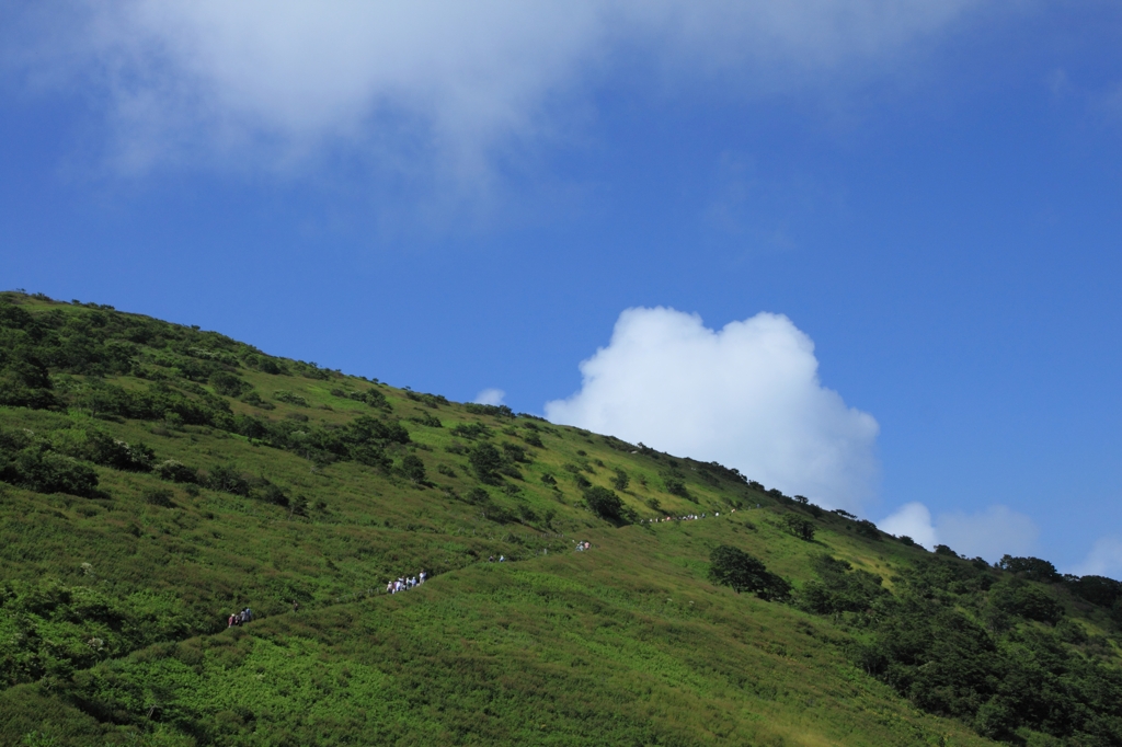 山！夏空！