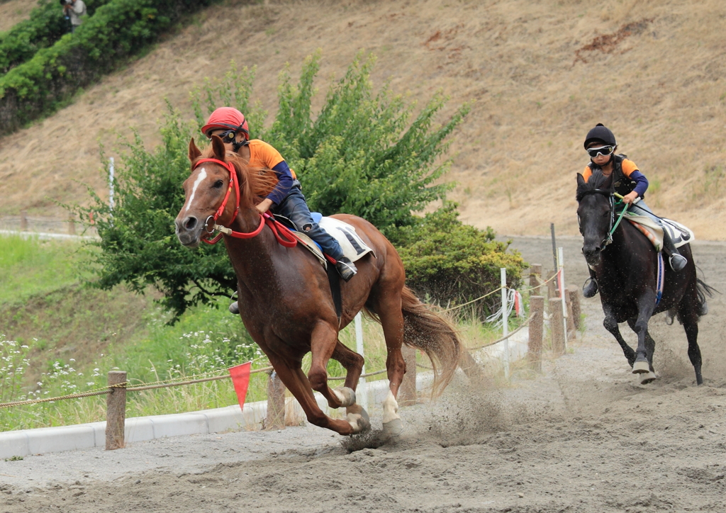 草競馬#2　ちびっこジョッキー大活躍