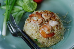 the best of fried rice
