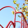 公園にて