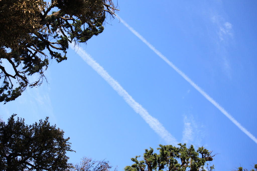 仲良し飛行機