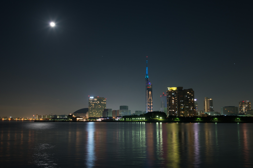 月夜の百道浜