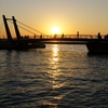 橋の上の夕日