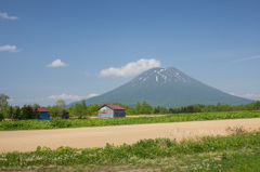 羊蹄山のある風景