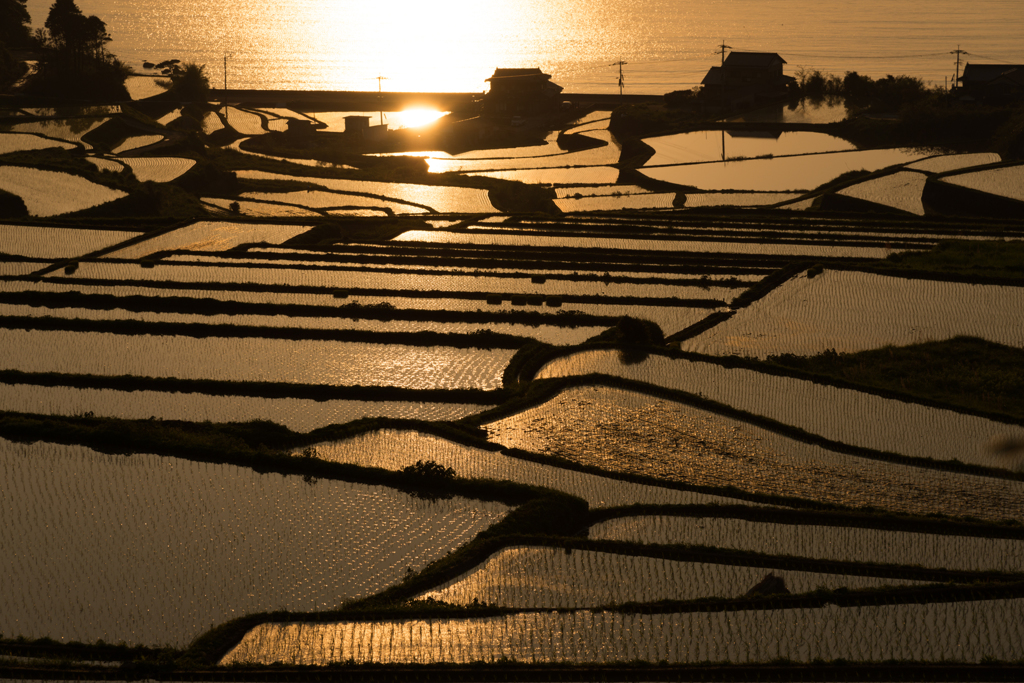 棚田夕景２