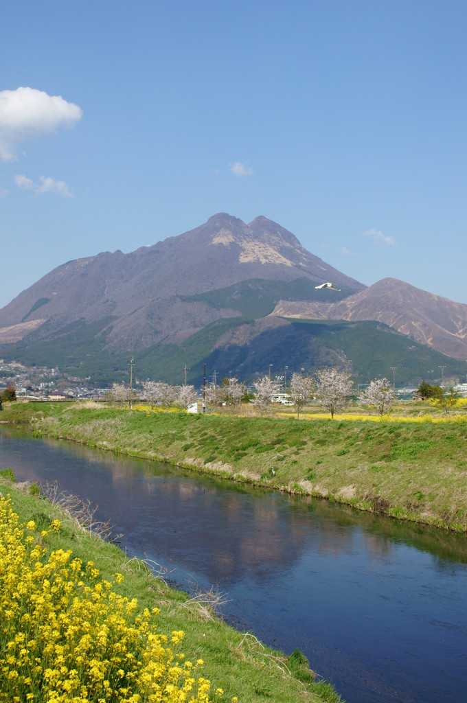 春の由布岳