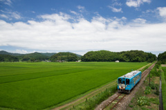 夏のゆる鉄