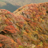 小鍋の紅葉
