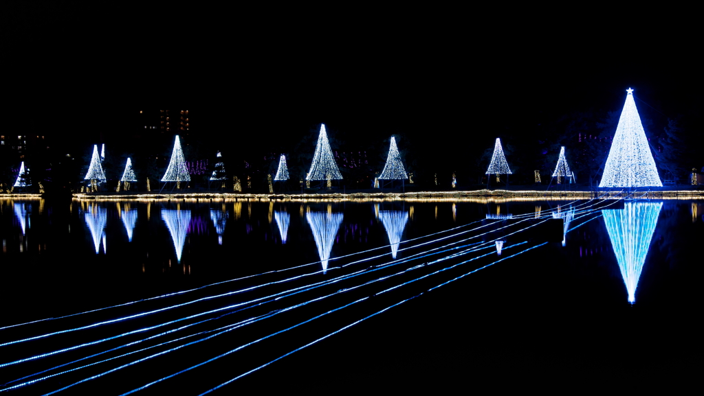 大濠公園イルミ