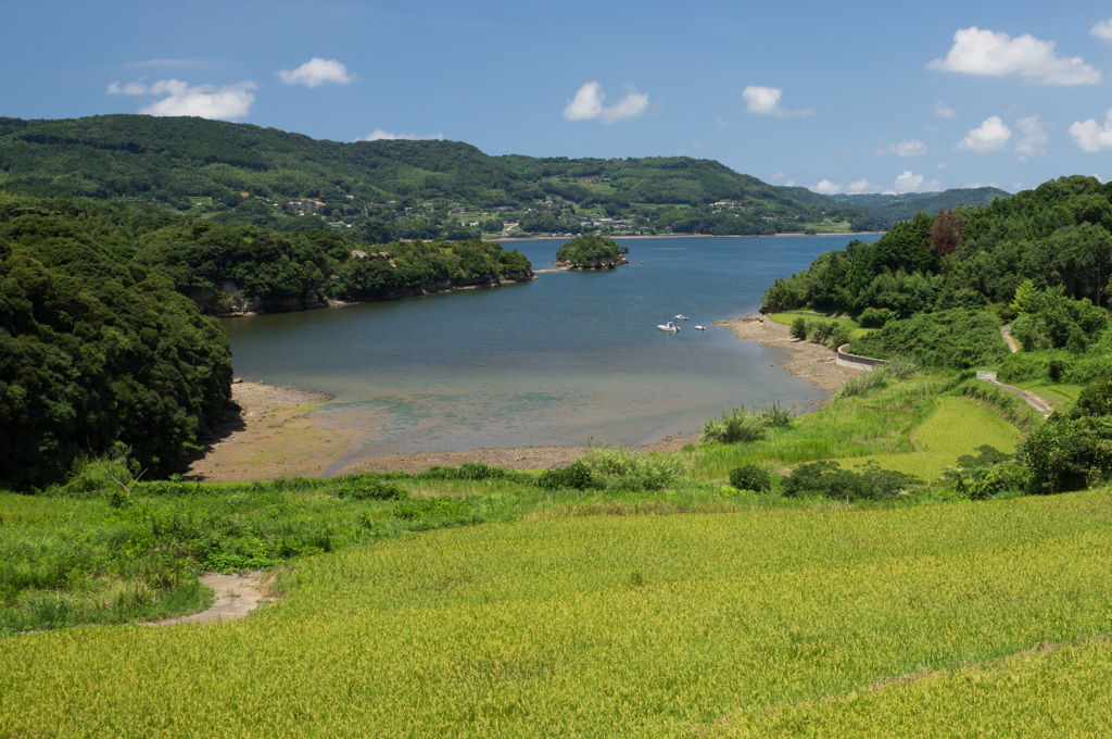 夏の入江