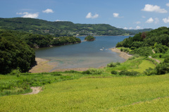 夏の入江