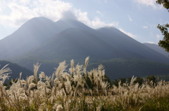 光芒に包まれて