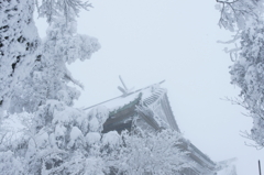 雪の神社