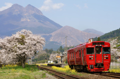 春電車出発♪