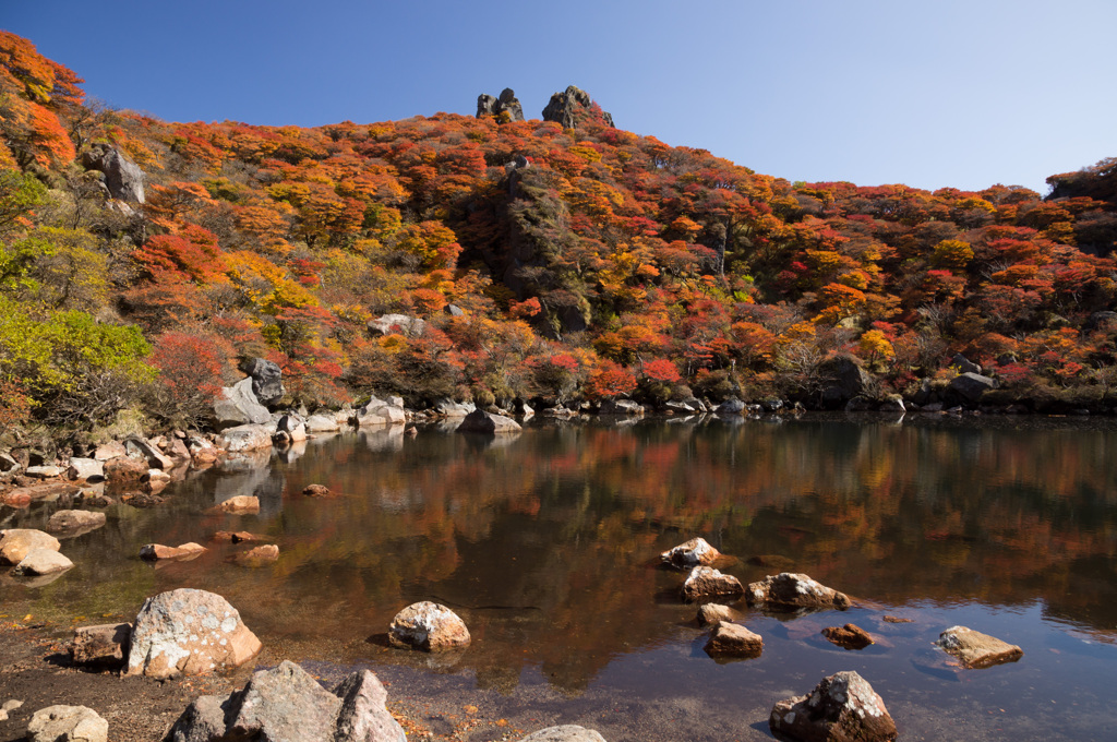 紅葉の池