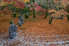 枯れ葉と枯山水