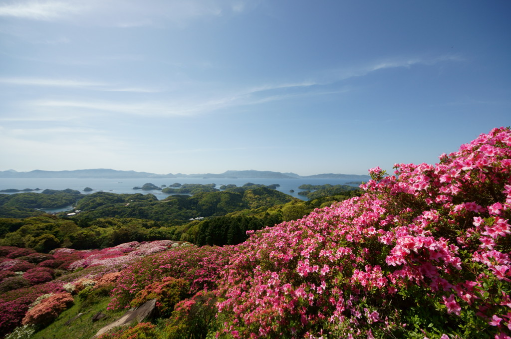 海を望むつつじ山