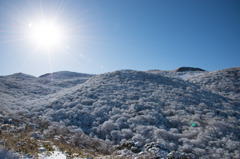 霧氷の山