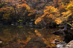 紅葉の池