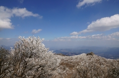 山頂の風景