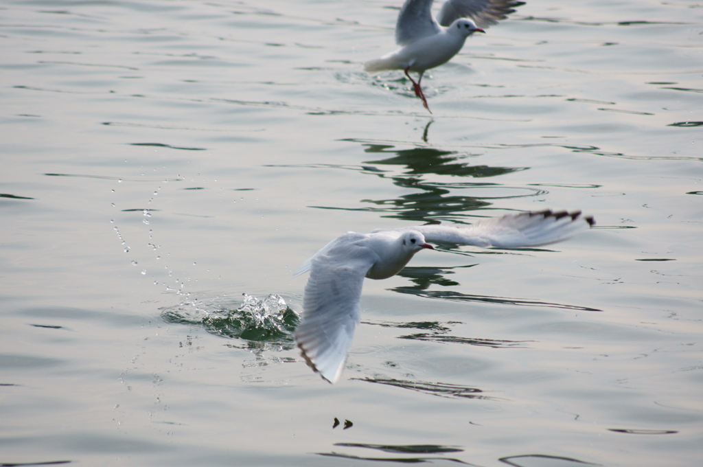Takeoff & Landing
