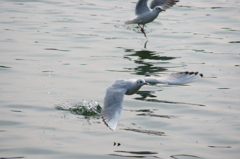 Takeoff & Landing