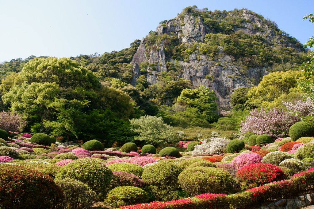 花まつり