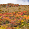 三俣山紅葉２０１２