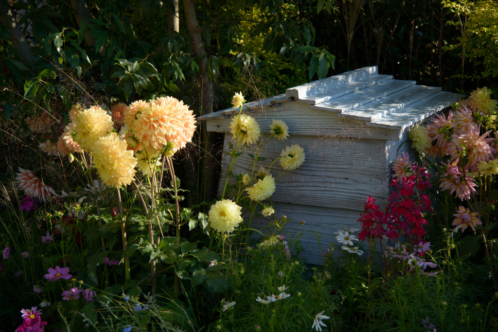 #10 Garden of...