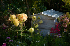#10 Garden of...