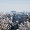 霧氷の向こうの由布岳