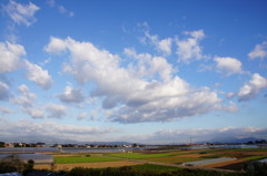 DSC00926