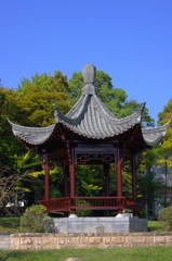IMGP2004 
