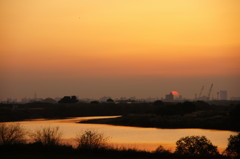 DSC00485